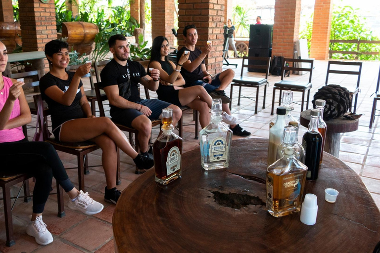 Puerto Vallarta: ATV Jorullo Bridge Adventure ATV Single Rider - Romantic Zone Meeting Point