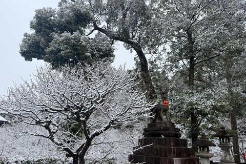 Kyoto: Early-Access Fushimi Inari Private Walking Tour