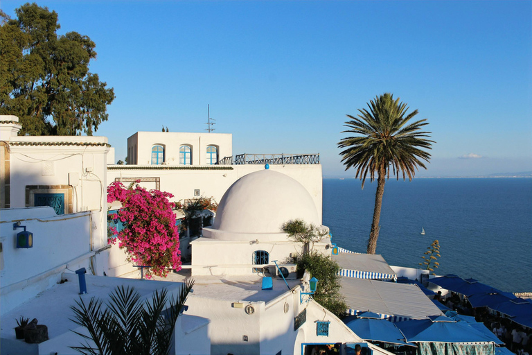Monastir or Sousse: Tunis and Sidi Bou Said Day Trip