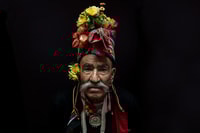 Explorer les fleurs d'abricot du Ladakh - Housity