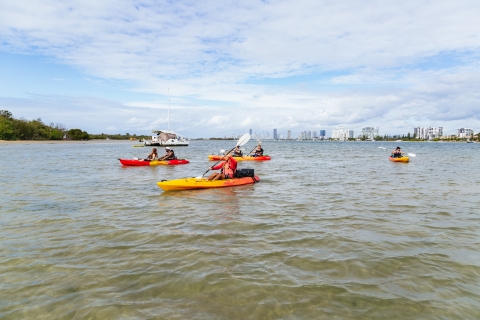 Gold Coast: excursion de kayak et de plongée en apnée sur l'île Wave BreakOption point de rencontre