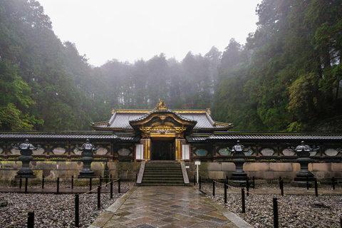 Von Tokio aus: Nikko World Heritage Sight Ganztagestour Private Tour