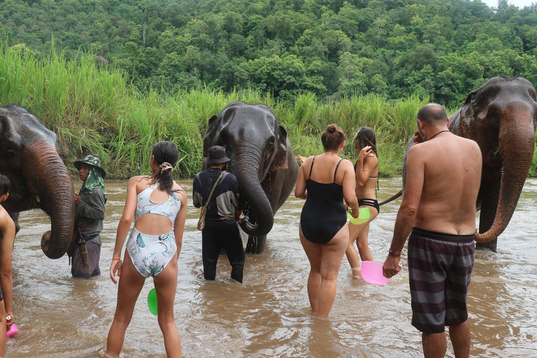 Chiang Mai : Parc national de Doi Inthanon et sanctuaire des éléphants