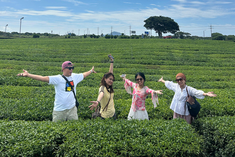 (New) Cook, Taste & Harvest: A Full-Day Jeju Food Adventure
