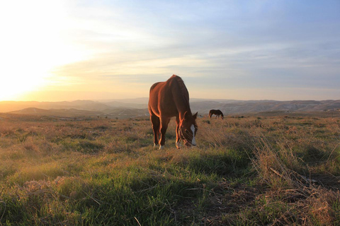 Peru: Enchanting 2-Hour Horse Ride in Yanahuara Village Peru: 4-Hour Riverside Path and the Salinas Salt Pans