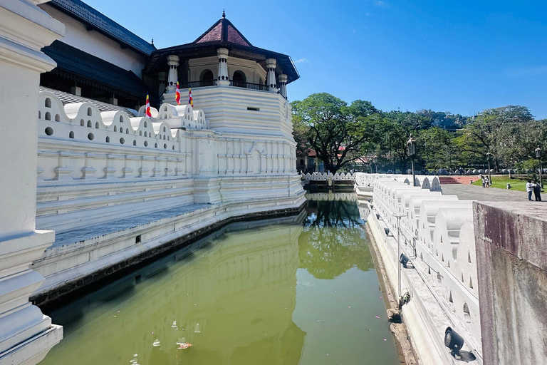 Kandy Day Trip with Temple of Sacred Tooth From Bentota