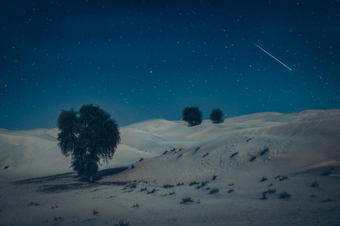 Under the Arabian Stars: Doha Night Desert Safari Adventure