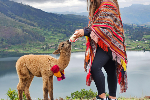 Chinchero, Moray, Maras &amp; Picnic con LlamasFrom Cusco: Moray, Maras Salt Mines, and Chinchero with …