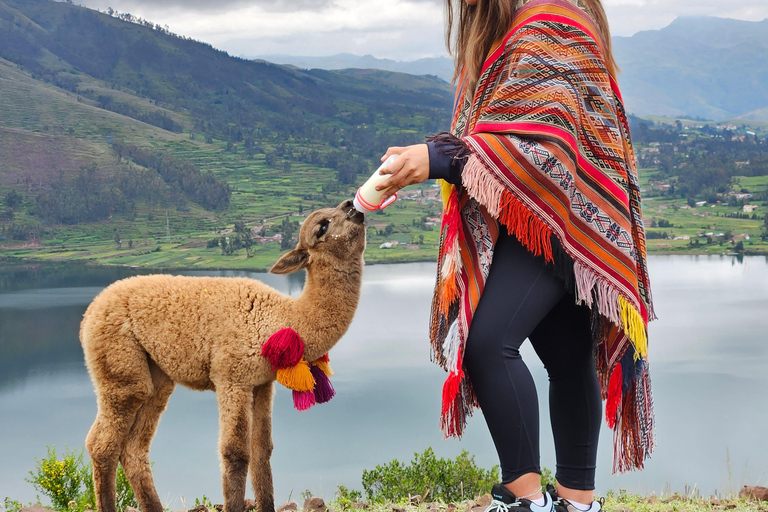 Chinchero, Moray, Maras & Picnic con Llamas From Cusco: Moray, Maras Salt Mines, and Chinchero with …