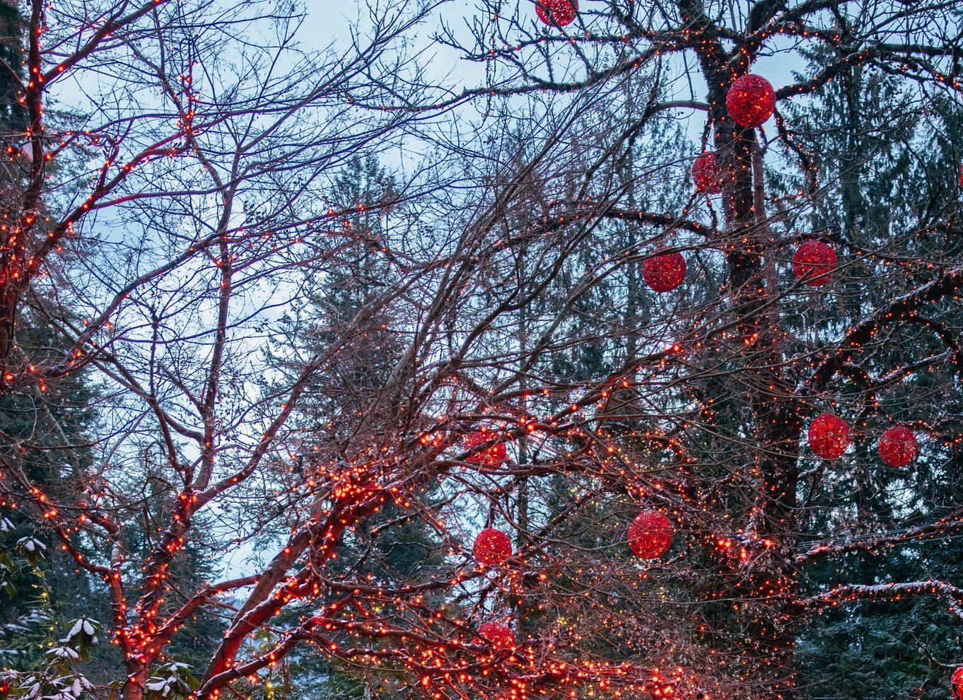Vancouver: Capilano Suspension Bridge Park billet