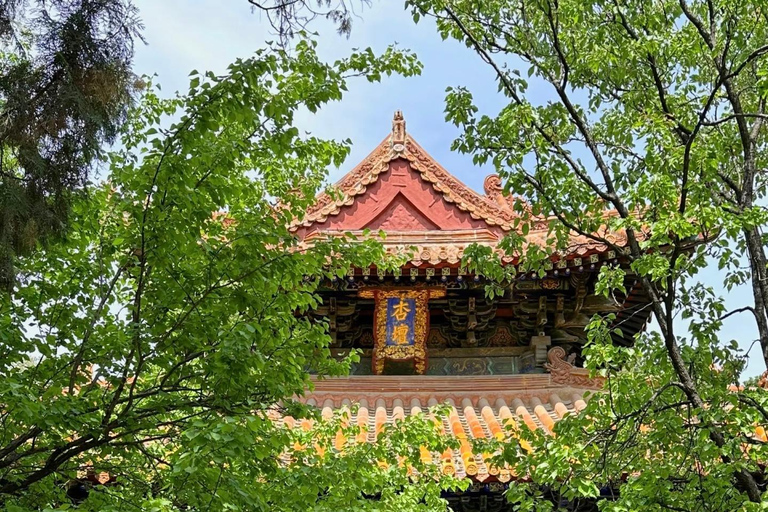 Von Jinan nach Qufu: Konfuzius-Tempel, Herrenhaus, Friedhof und MuseumGuide für Spanisch, Französisch, Russisch, Japanisch oder Koreanisch