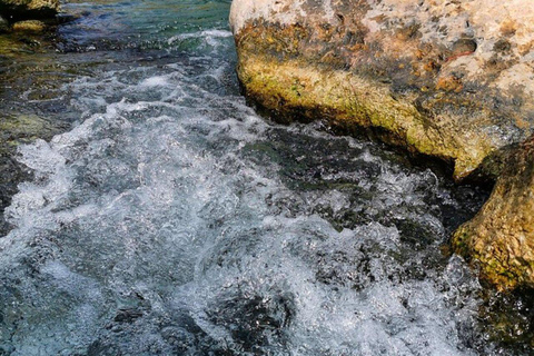 Salalah | Playa de Fazayah, Playa de Mughsail y Árboles del Incienso