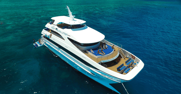 Cairns: Outer Great Barrier Reef Full-Day Tour with Lunch