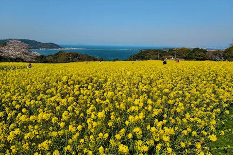 Fukuoka:Nokonoshima Island Day Trip with Tour Guide& Driver