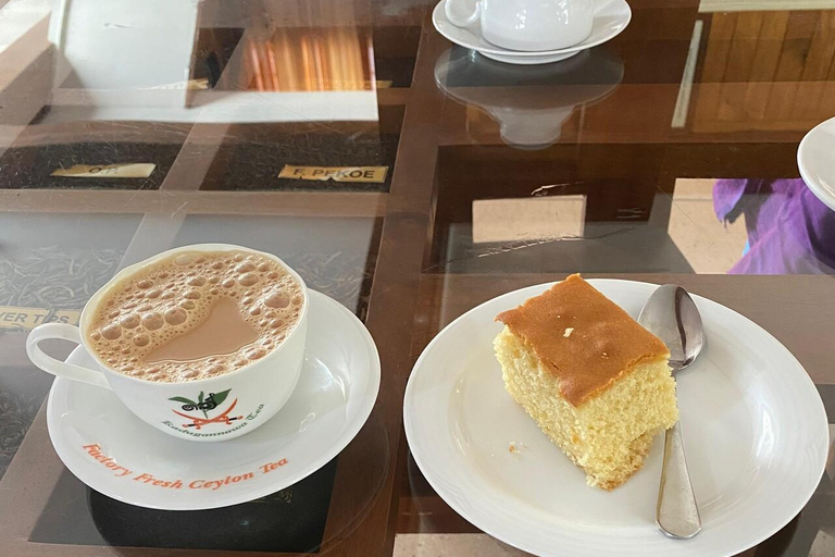 Kandy: Tea Tasting, Gem Museum & Spice Garden Tuk Tuk Tour
