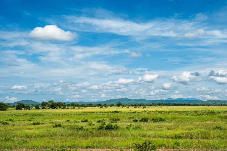 From Zanzibar: Mikumi Safari Day Trip with Flights and Lunch Mikumi Shared Safari without hotel transfer