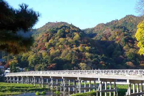 Kyoto Full-Day Customizable Group Tour with Guide