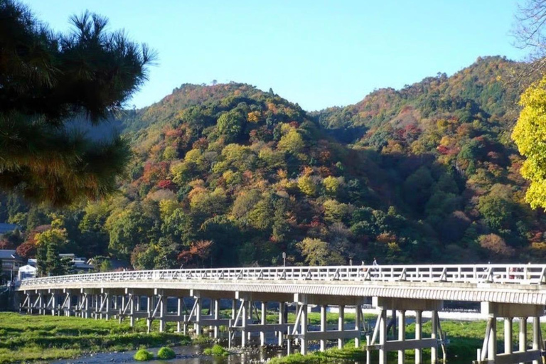 Kyoto Full-Day Customizable Group Tour with Guide