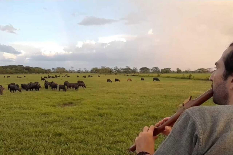 Palenque: waterfalls, buffalo, & birdwatching, a soulful immersion