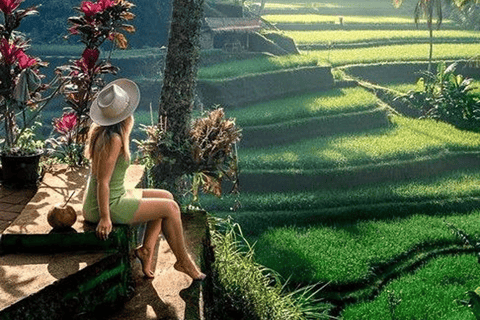 Ubud: Natura in primo piano, fauna selvatica, altalena e cascata