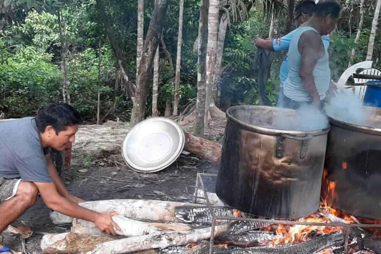 Ayahuasca Ceremony in Iquitos