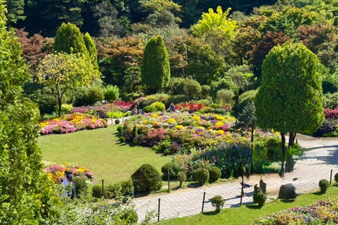 From Seoul: K-Drama Filming Tour: Garden of Morning Calm