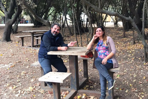 Kusadasi National Park Shinrin Yoku Tour