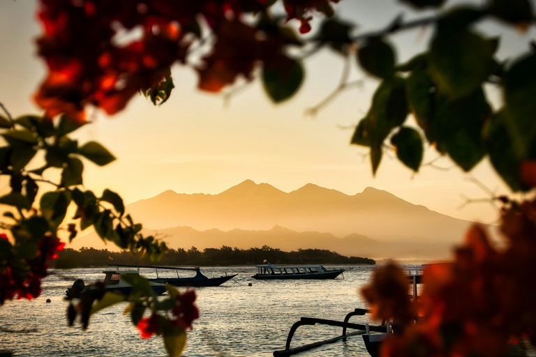 Labuan Bajo: 5-Day Komodo to Gili Trawangan Whale Shark Tour Standart Boat | Sharing Deck | No WHALE SHARK