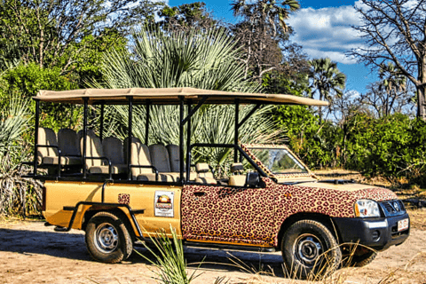 Victoria watervallen: Game drive of safari voor alleenreizenden