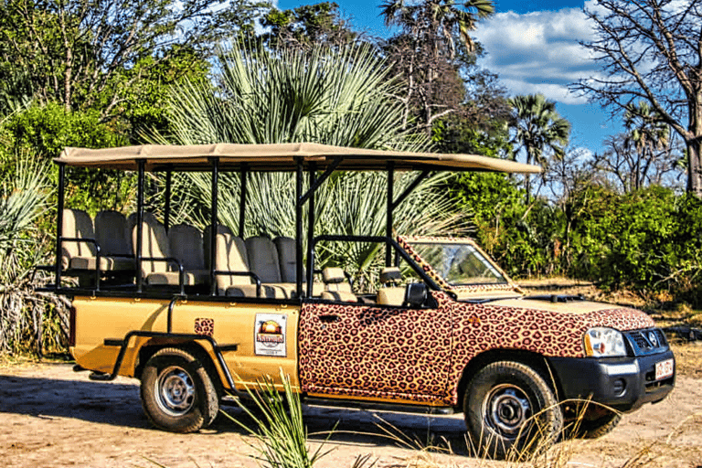 Victoria watervallen: Game drive of safari voor alleenreizenden