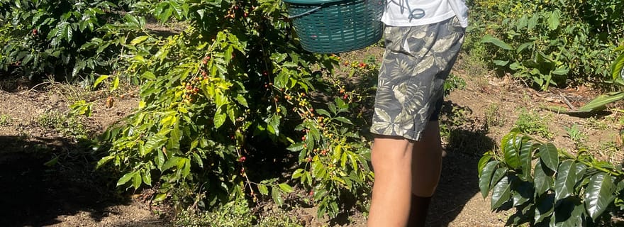 Visite d'une plantation de café à Ahuachapan avec déjeuner