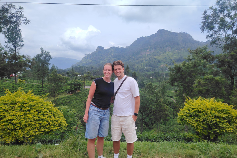 From Kandy: Nuwara Eliya Private Day Trip with Tea Factory