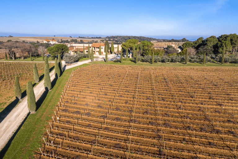 Avignon : Jornada completa Trufas y Vinos de Chateauneuf-du-Pape