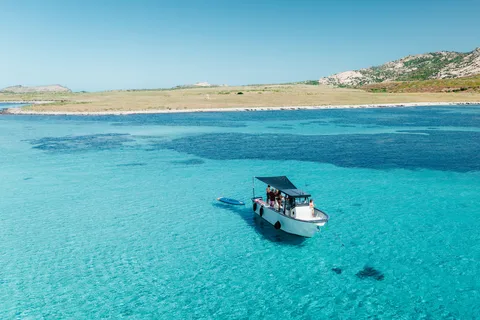 From Stintino: Half-Day Speedboat Tour to Asinara