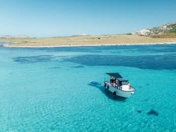 From Stintino: Half-Day Speedboat Tour to Asinara