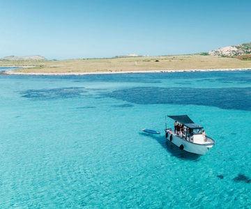 Von Stintino: Halbtägige Schnellboot-Tour zur Asinara