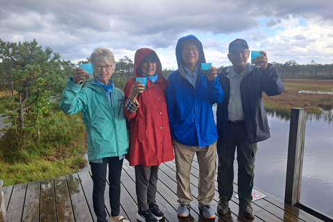 Tallinn: Lahemaa National Park Day Trip with Museums