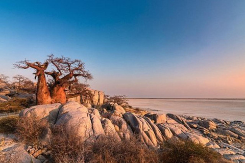 Botswana: Makgadikgadi Pans Day Trip