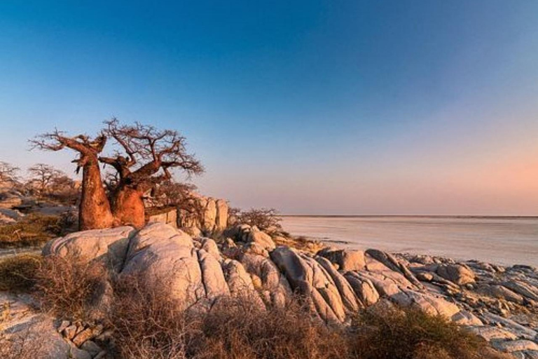Botswana: Makgadikgadi Pans Day Trip