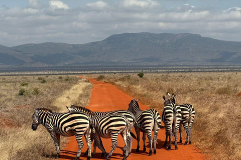 Mombasa:2-Day Tsavo East Wildlife Safari with Overnight Stay