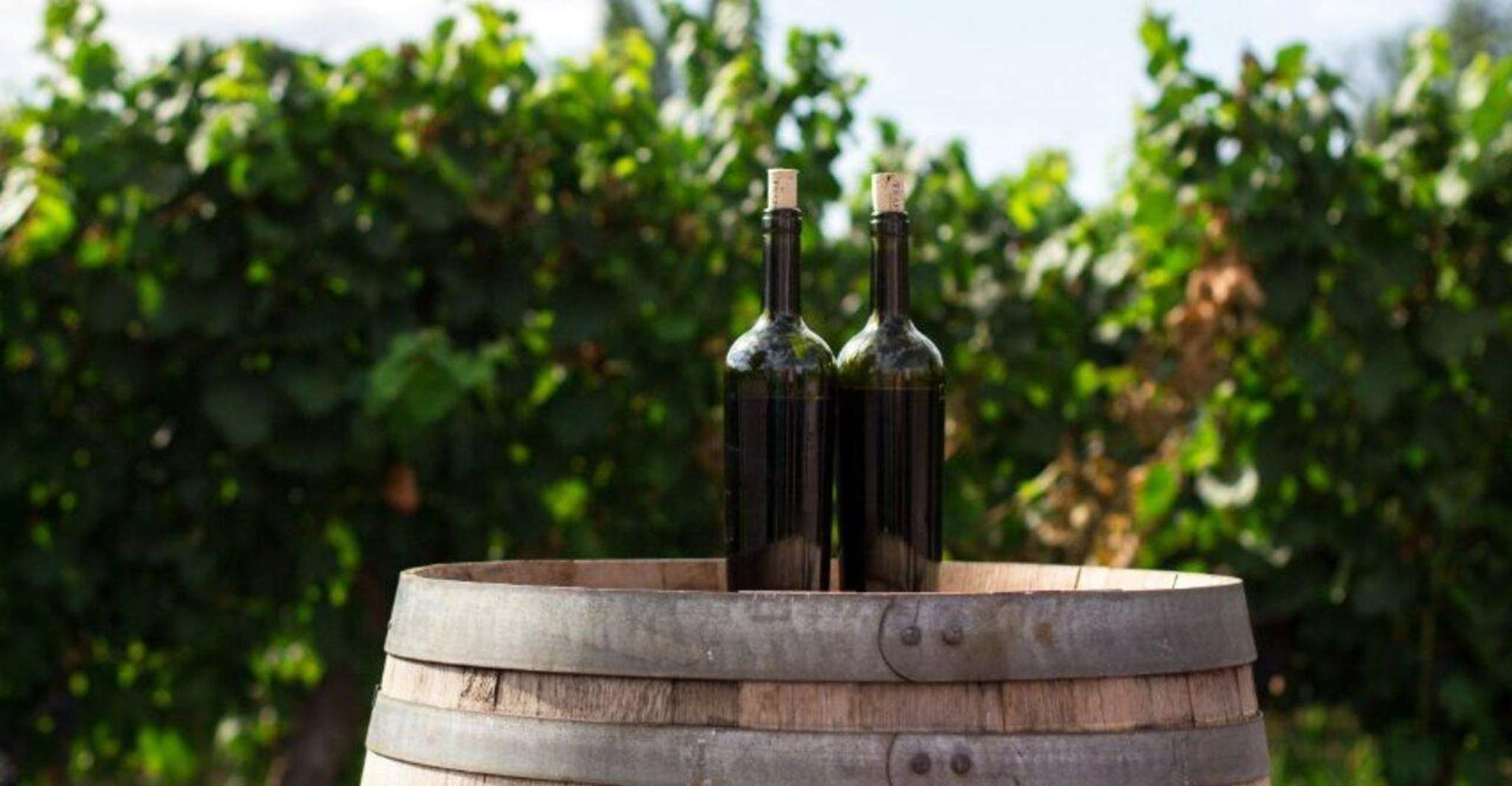 Florence: Chianti Vineyards Tour with Wine Tasting & Dinner photo 19