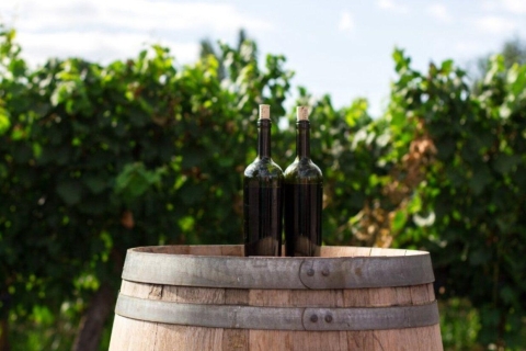 Weinberge des Chianti: Weinprobe und AbendessenTour auf Spanisch