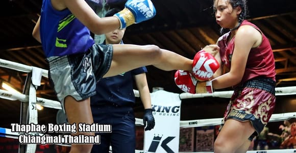 Chiang Mai: Thaphae Boxing Stadium Muay Thai Ticket