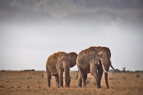 Diani Beach: 2-Day Tsavo East Safari with Game Drives