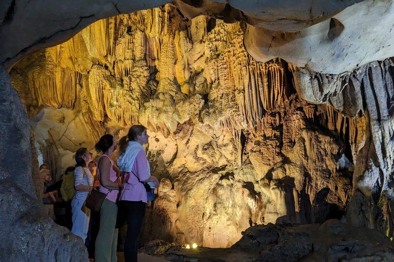 Half Day Hiking to Cat Ba National Park with a Guide