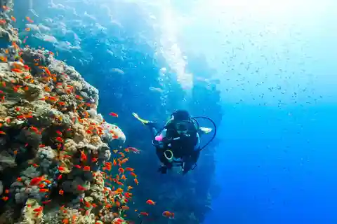 Diving Experience in Khasab