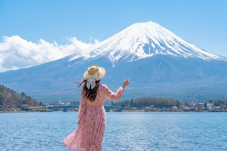 Mount Fuji: Lake Yamanaka Sumo Show (Optional VIP Seating) Mount Fuji: Lake Yamanaka Sumo Show (General ticket)