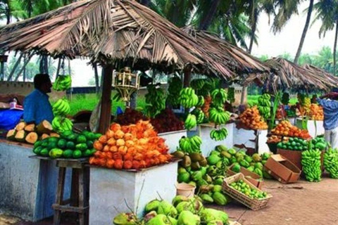 Entdecke Salalah Stadt, Geschichte, Natur, Kultur