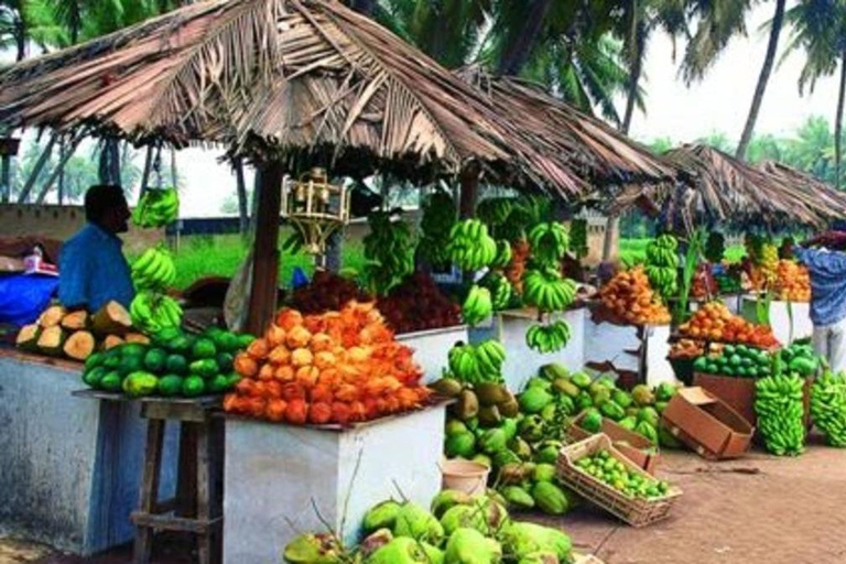 Discover Salalah City, History, Nature, Culture