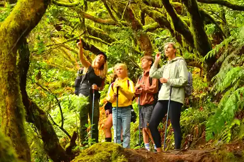 Tenerife: Excursión de Senderismo por las Montañas de Anaga y el Bosque Encantado